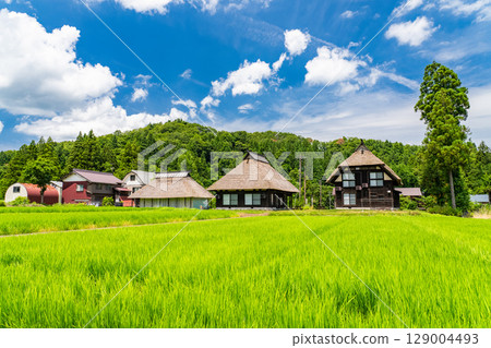 新潟縣:荻之島茅草村,日本傳統夏日風景 新潟縣:荻之島茅草村,日本傳統夏日風景 129004493