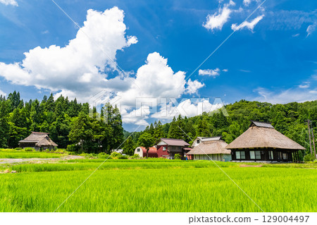<Niigata Prefecture> Oginoshima Kayabuki Village: A traditional Japanese summer landscape 129004497