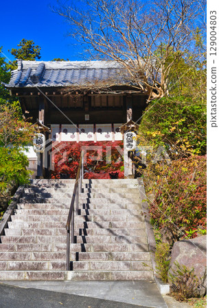 鎌倉覺園寺的美麗秋葉(神奈川縣鎌倉市) 鎌倉覺園寺的美麗秋葉(神奈川縣鎌倉市) 129004803