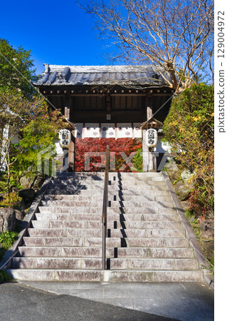 Beautiful autumn leaves at Kakuonji Temple in Kamakura (Kamakura City, Kanagawa Prefecture) Beautiful autumn leaves at Kakuonji Temple in Kamakura (Kamakura City, Kanagawa Prefecture) 129004972