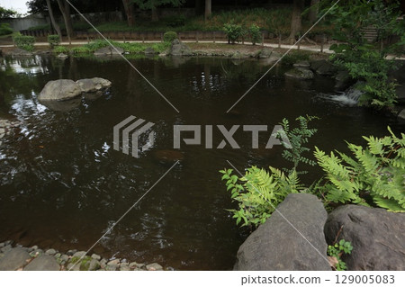 Shiba Park, Minato Ward 129005083