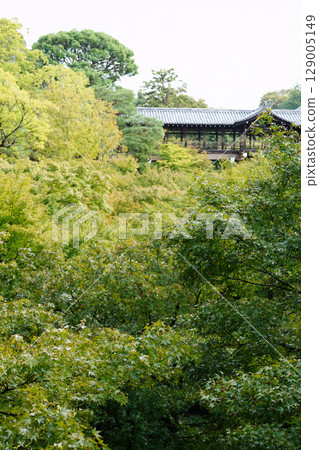 京都東福寺地區的風景 129005149