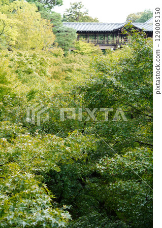京都東福寺地區的風景 129005150
