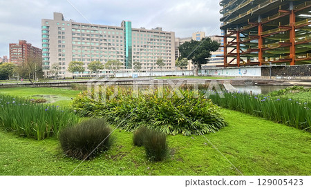 Green park and hospital building exterior Green park and hospital building exterior 129005423