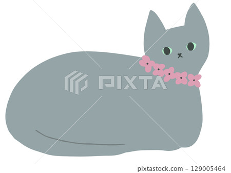 Gray cat with pink collar Gray cat with pink collar 129005464