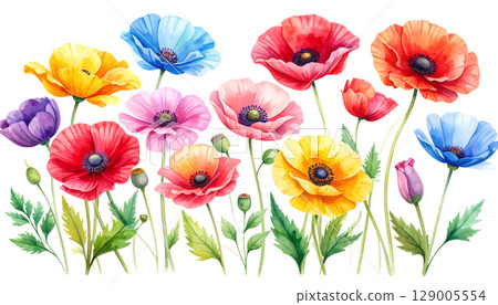 A colorful bouquet of red and yellow tulips blooming in a sunny spring garden A colorful bouquet of red and yellow tulips blooming in a sunny spring garden 129005554