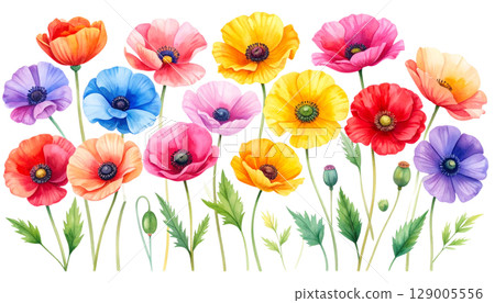 A colorful bouquet of red and yellow tulips blooming in a sunny spring garden 129005556