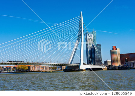 Erasmus Bridge and Rotterdam Skyline A Captivating Urban Landscape in the Netherlands Erasmus Bridge and Rotterdam Skyline A Captivating Urban Landscape in the Netherlands 129005849