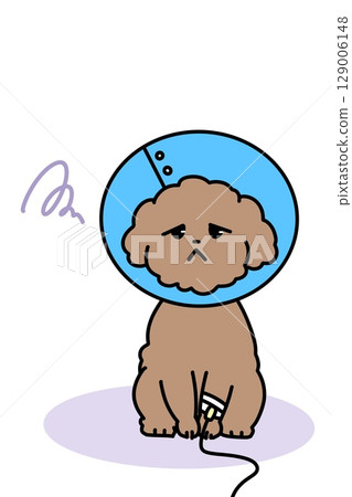 狗戴著伊麗莎白項圈 129006148