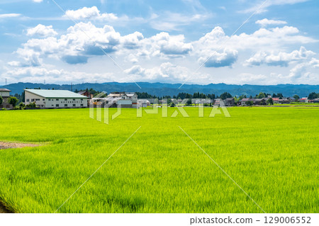 <Niigata Prefecture> Rural landscape under the summer sky <Niigata Prefecture> Rural landscape under the summer sky 129006552