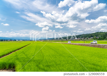 <新潟縣>夏日天空下的鄉村風景 129006559