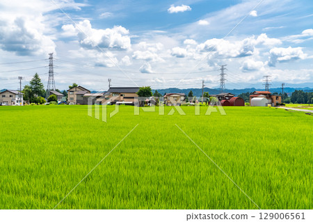 <Niigata Prefecture> Rural landscape under the summer sky 129006561