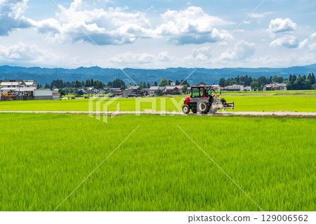 <新潟縣>夏日天空下的鄉村風景 129006562