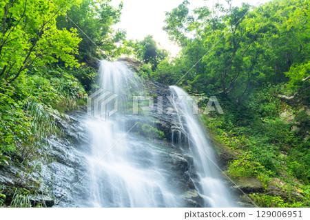 <Niigata Prefecture> Fudotaki Daizen, Echigo Yuzawa <Niigata Prefecture> Fudotaki Daizen, Echigo Yuzawa 129006951