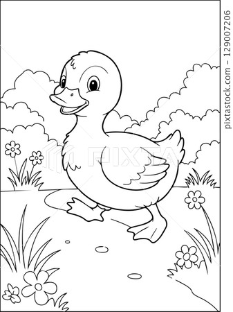 Cute Duckling in the Grass Coloring Page 129007206
