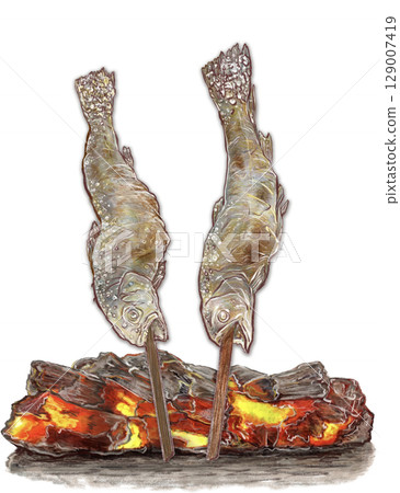 Salt-grilled rock trout_2 fish_Charcoal-grilled rock trout_Illustration of rock trout Salt-grilled rock trout_2 fish_Charcoal-grilled rock trout_Illustration of rock trout 129007419