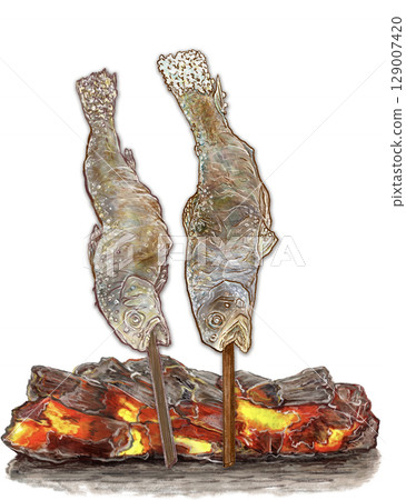 Grilled trout with salt _ 2 trout _ 2 charcoal grilled trout _ Illustration of grilled trout with salt _ Illustration of trout 129007420