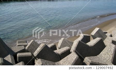 與四足動物的海岸 129007492