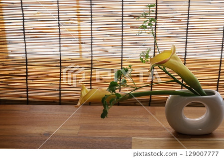 Yellow color flower 129007777