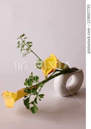 顏色排列 129007785