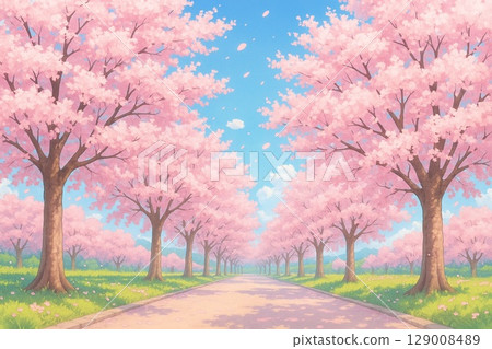 Cherry blossom trees and blue sky 129008489