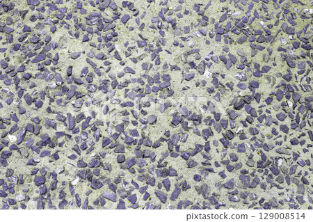 Outdoor rocks with cement walkway surface 129008514