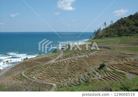 白米千枚田正在進行插秧準備（石川縣輪島市白米町的梯田，2024年地震前的能登半島景觀） 129008519