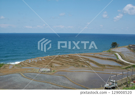 白米千枚田正在進行插秧準備（石川縣輪島市白米町的梯田，2024年地震前的能登半島景觀） 129008520