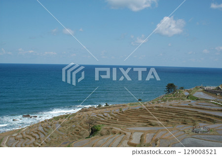 白米千枚田正在進行插秧準備（石川縣輪島市白米町的梯田，2024年地震前的能登半島景觀） 129008521