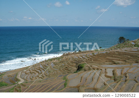 白米千枚田正在進行插秧準備(石川縣輪島市白米町的梯田,2024年地震前的能登半島景觀) 白米千枚田正在進行插秧準備(石川縣輪島市白米町的梯田,2024年地震前的能登半島景觀) 129008522