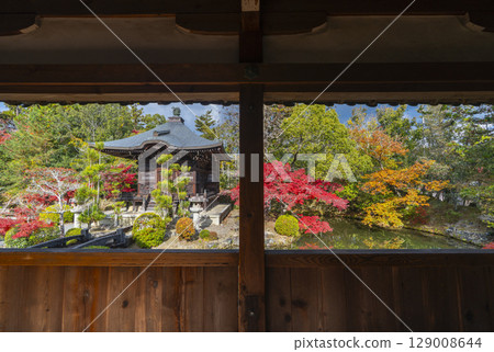秋天的京都,清涼寺(佐賀釋迦堂),從走廊上看到的弁天堂 秋天的京都,清涼寺(佐賀釋迦堂),從走廊上看到的弁天堂 129008644