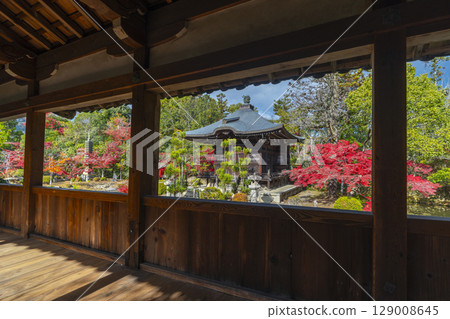 Kyoto in autumn, Seiryoji Temple (Saga Shakado), Bentendo seen from the breezeway 129008645