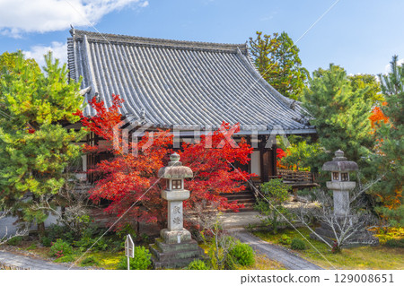 秋天的京都、青棱寺（佐賀釋迦堂）、秋葉和阿彌陀堂 129008651
