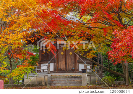 Kyoto in autumn, Seiryoji Temple (Saga Shakado), autumn leaves and Prince Shotokuden Kyoto in autumn, Seiryoji Temple (Saga Shakado), autumn leaves and Prince Shotokuden 129008654