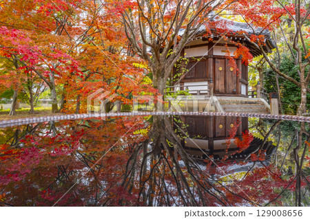 Kyoto in autumn, Seiryoji Temple (Saga Shakado), autumn leaves and Prince Shotokuden Kyoto in autumn, Seiryoji Temple (Saga Shakado), autumn leaves and Prince Shotokuden 129008656