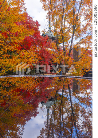 Kyoto in autumn, Seiryoji Temple (Saga Shakado), autumn leaves and Tahoto pagoda Kyoto in autumn, Seiryoji Temple (Saga Shakado), autumn leaves and Tahoto pagoda 129008660