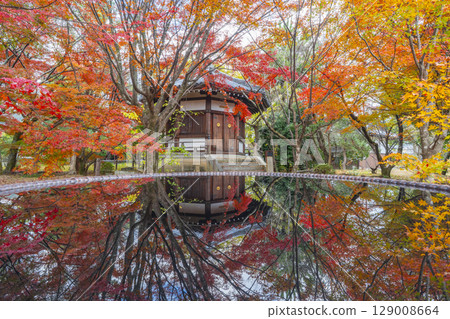 秋天的京都、青棱寺(佐賀釋迦堂)、秋葉和聖德殿 秋天的京都、青棱寺(佐賀釋迦堂)、秋葉和聖德殿 129008664