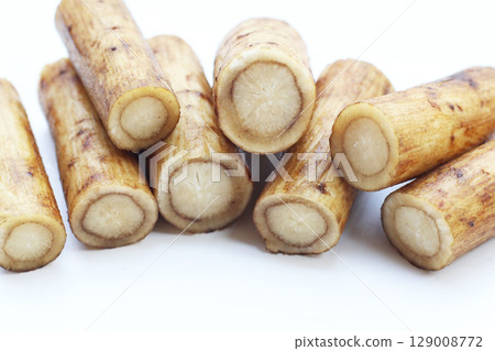 Fresh burdock roots or gobo roots 129008772