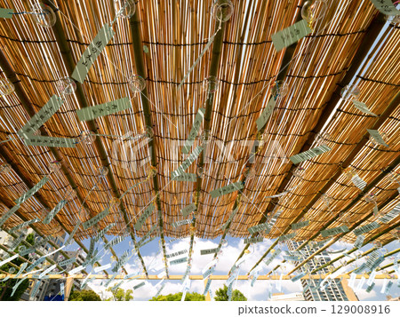 東京上野公園不忍池畔的江戶風鈴 東京上野公園不忍池畔的江戶風鈴 129008916