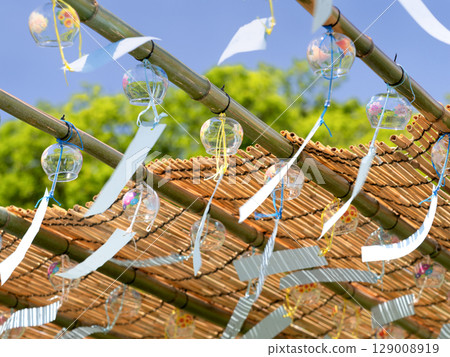 東京上野公園不忍池畔的江戶風鈴 東京上野公園不忍池畔的江戶風鈴 129008919