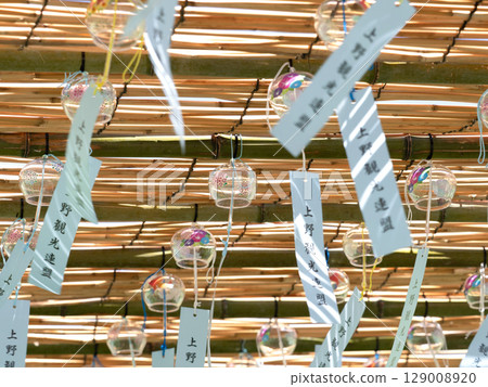 東京上野公園不忍池畔的江戶風鈴 129008920