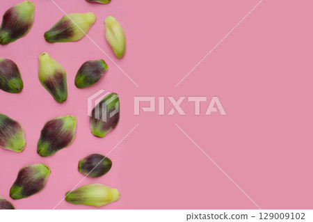 Artichoke petals on pink background. Artichoke petals on pink background. 129009102