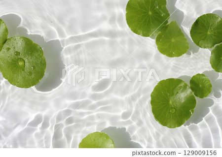 Green centella leaves floating gently in clear rippling water. 129009156