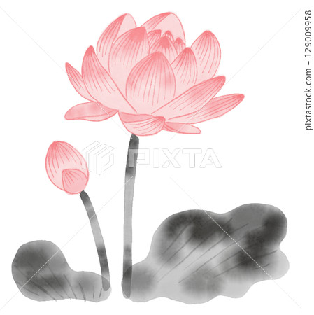 蓮花水墨畫 129009958