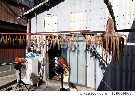 Squid hanging from the eaves 129009962