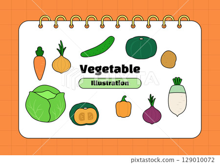 Collection of vector illustrations of vegetables. 129010072