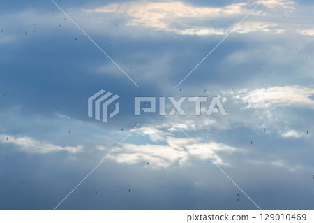 六月清晨:黎明的天空倒映在稻田的水面上 04 六月清晨:黎明的天空倒映在稻田的水面上 04 129010469