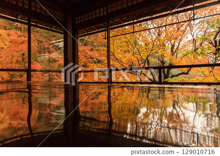 京都琉璃光院的秋葉 129010716