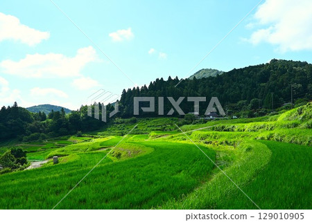 Beautiful rice terrace scenery Beautiful rice terrace scenery 129010905