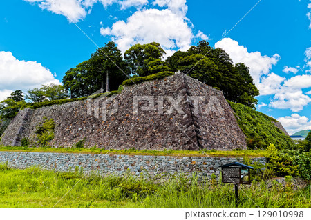 篠山城遺址石牆 篠山城遺址石牆 129010998